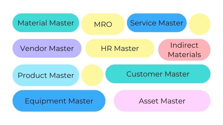 Master Data Management