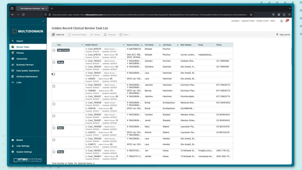 An image of a demo video showing master data management in STIBO platform